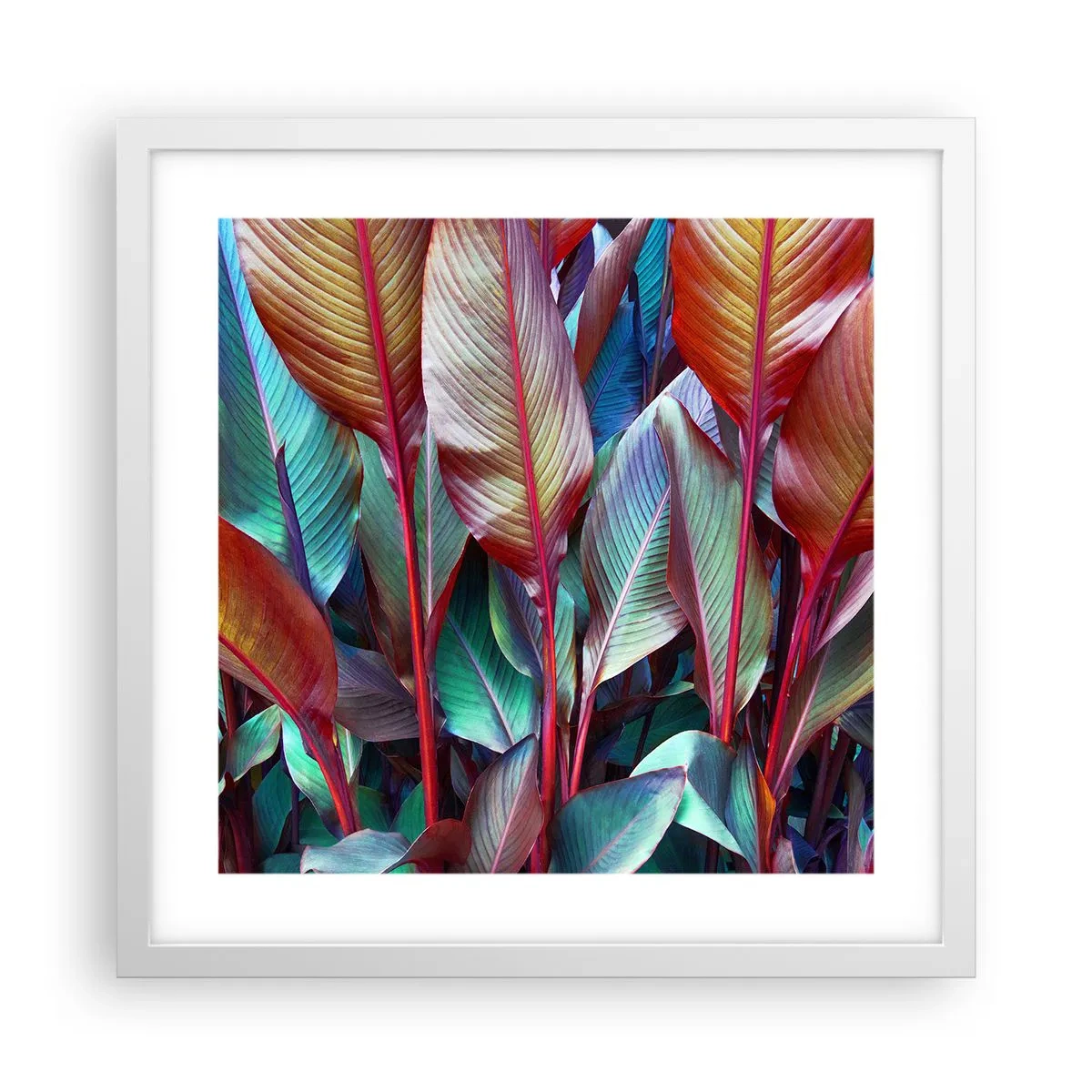 Plakat i hvid ramme - Farverigt krat - 40x40 cm