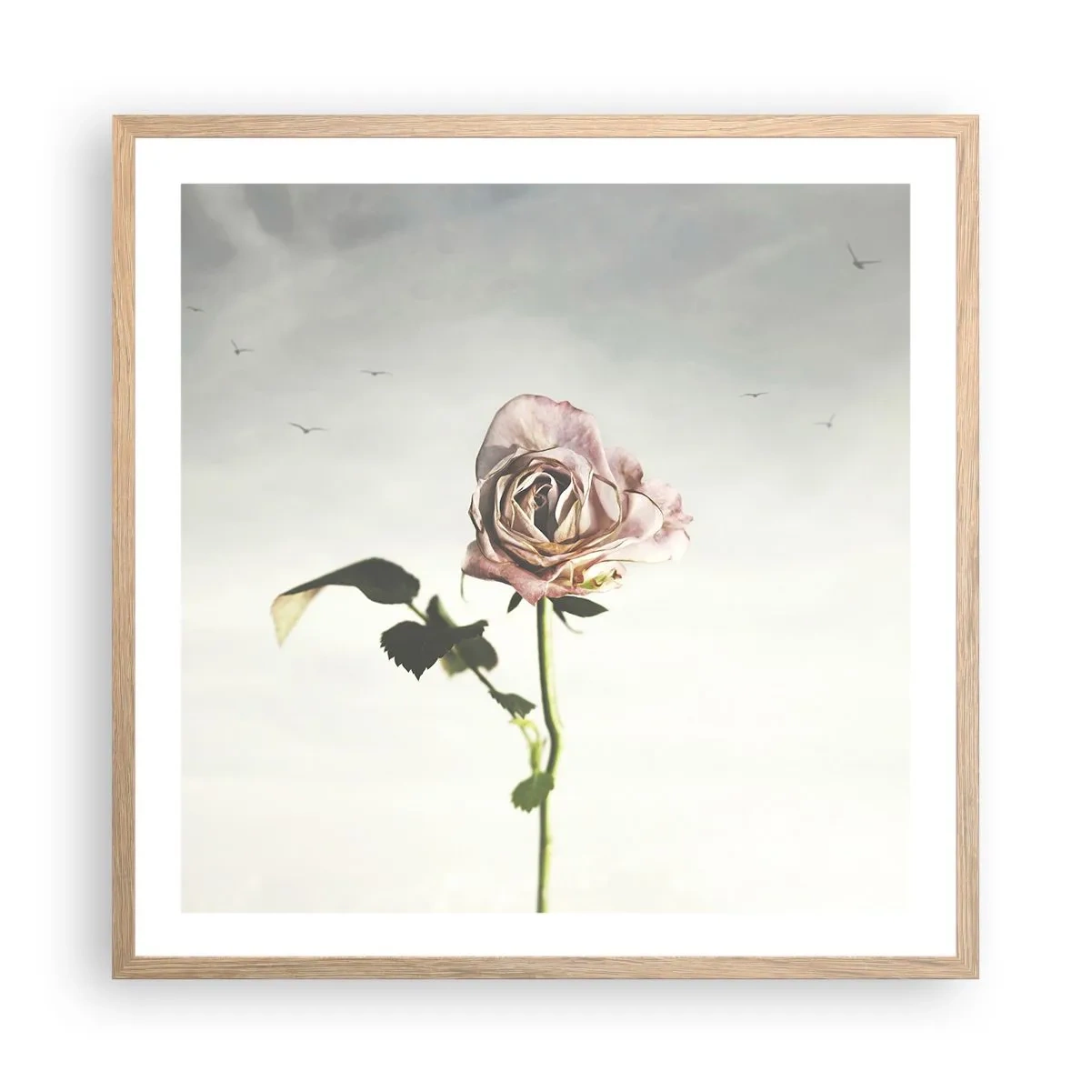 Plakat i ramme af lyst egetræ - Velkomst til foråret - 60x60 cm