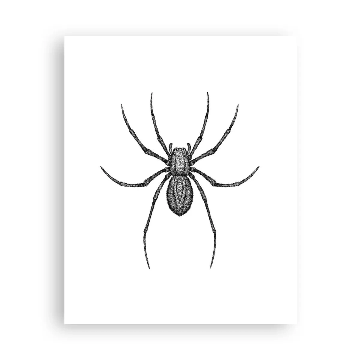 Plakat - Foruroligende præcision - 40x50 cm