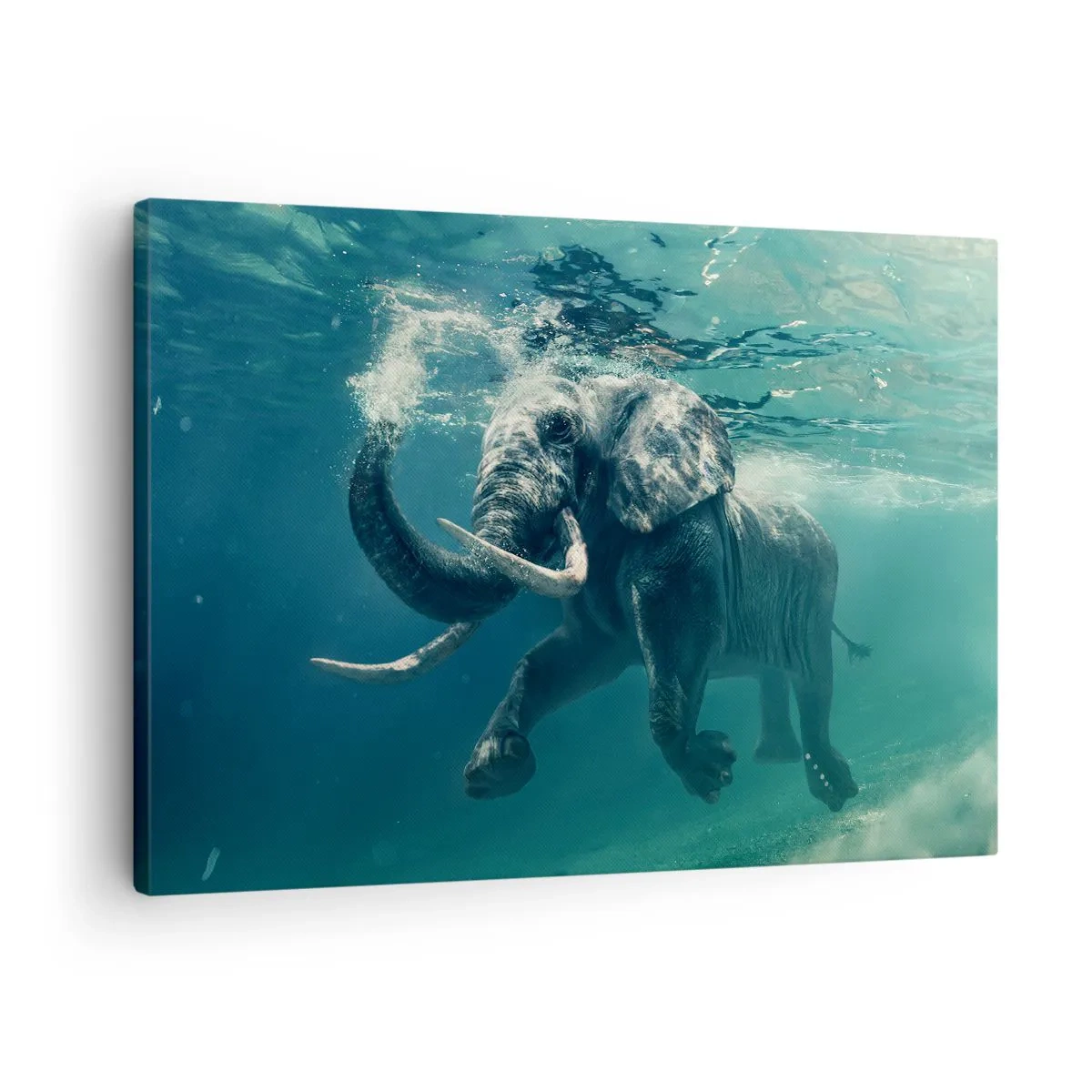 Lærredstryk - Billede på lærred - En elefant, der svømmer under vandet i det turkisblå dyb - 70x50cm - Alle kan lide at svømme - Moderne vægdekoration til stue og soveværelse ARTTOR