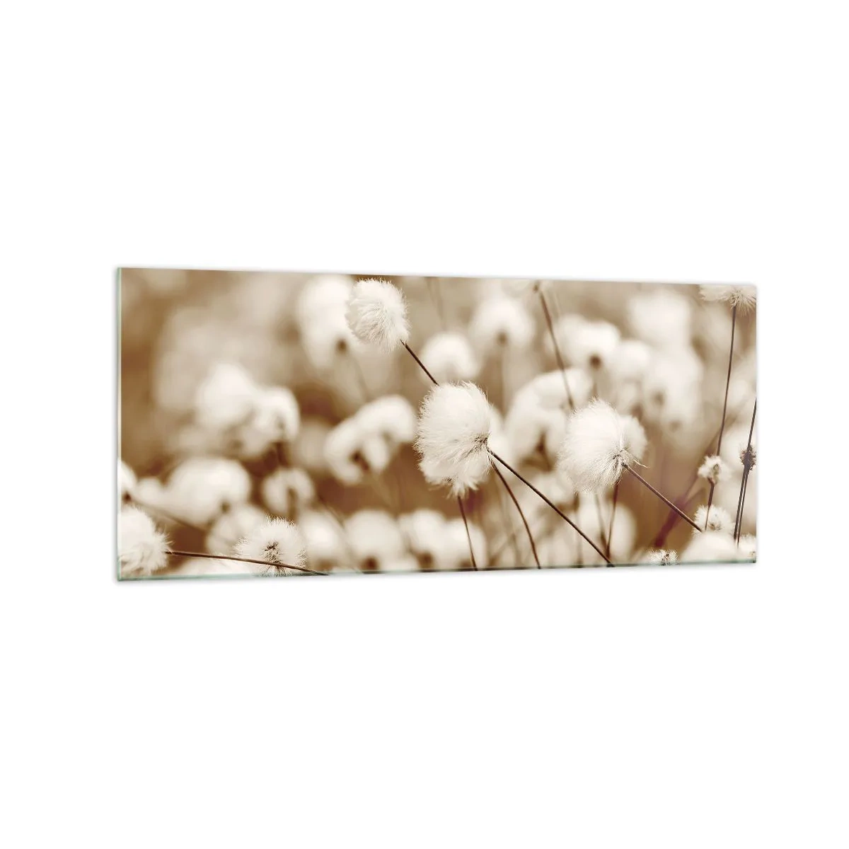 Billede på glas - Fyldig mark - 120x50 cm