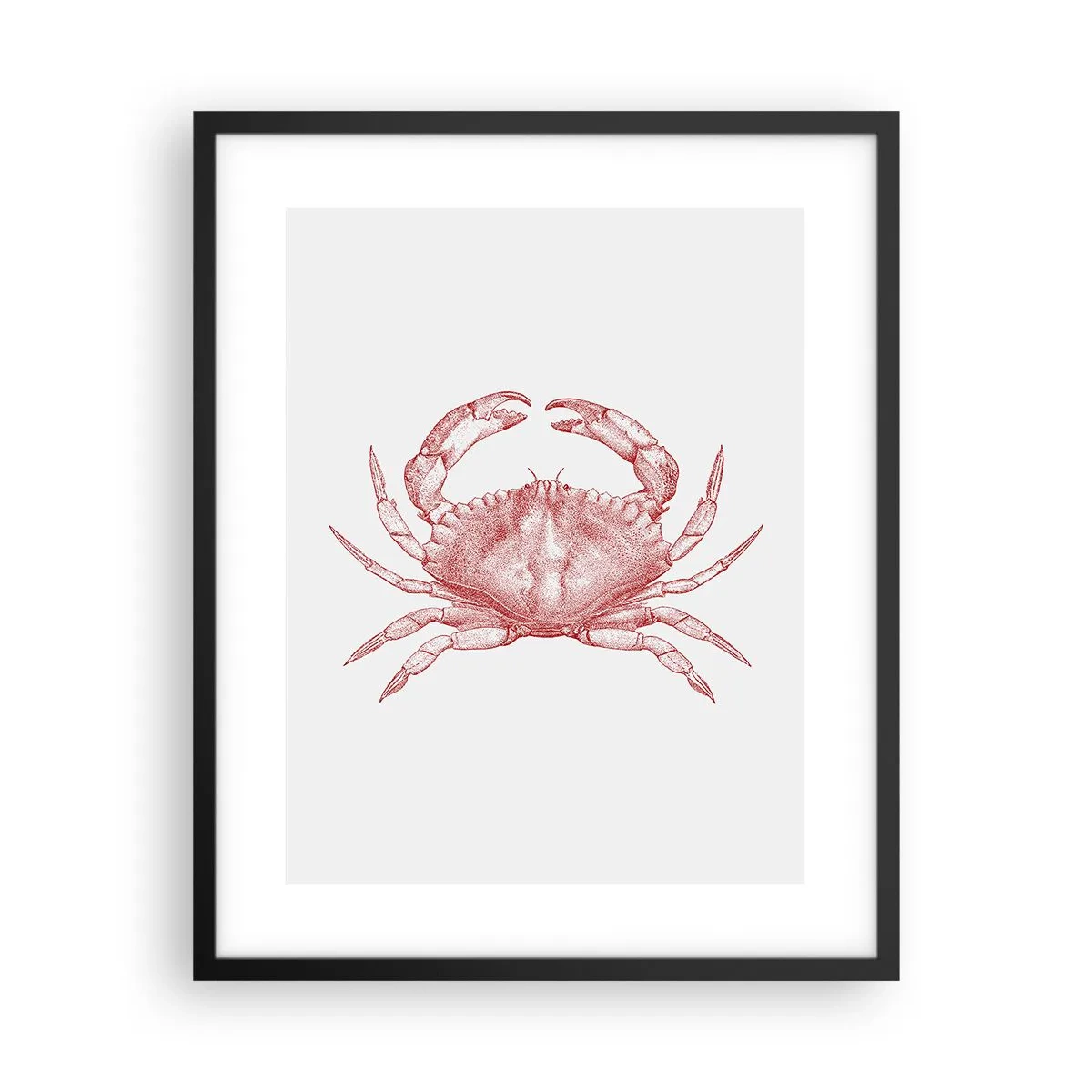 Plakat i sort ramme - Krabbe over krabber - 40x50 cm