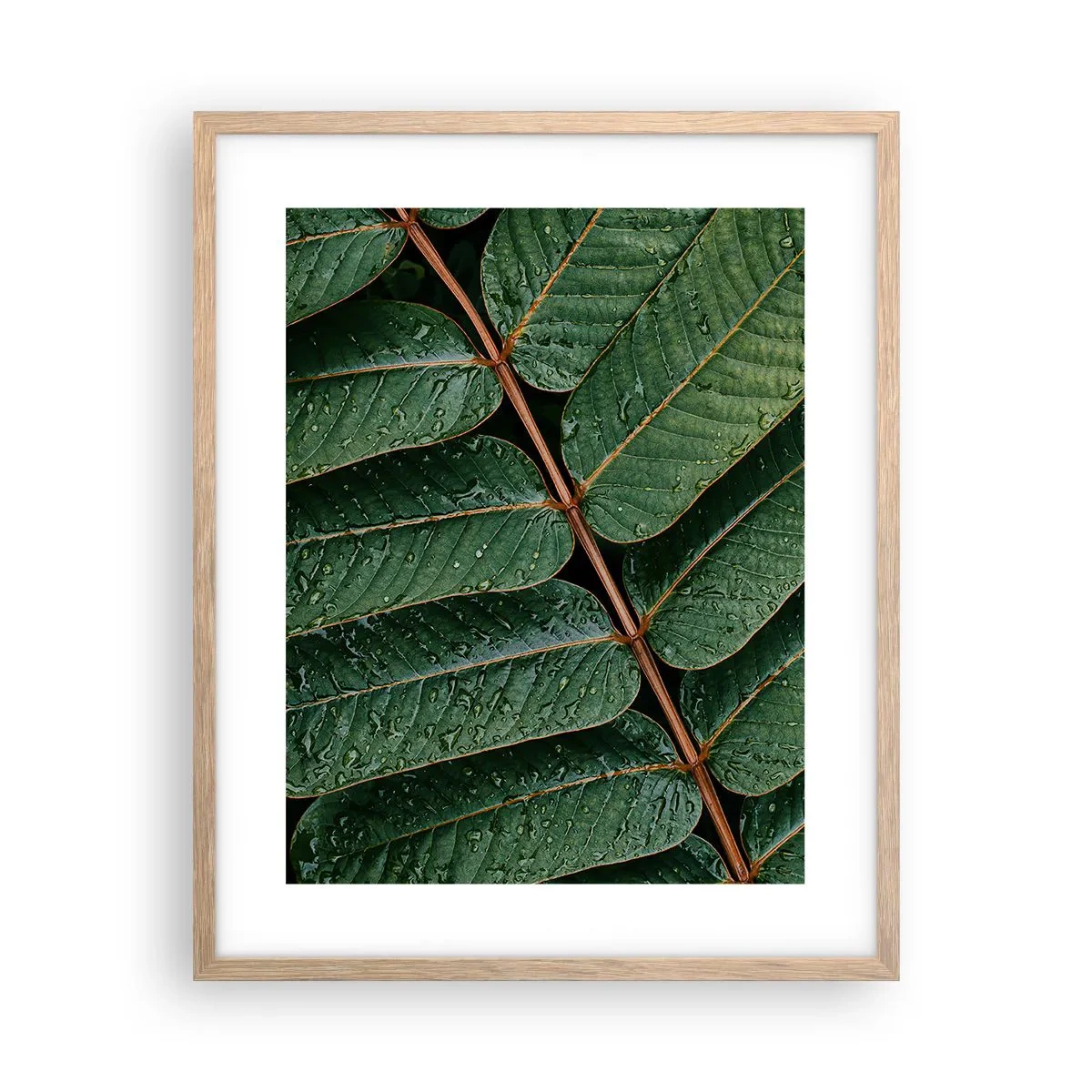 Plakat i ramme af lyst egetræ - I en grøn rytme - 40x50 cm