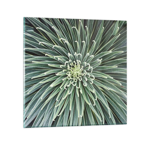 Billede på glas - En stjernes fødsel - 70x70 cm