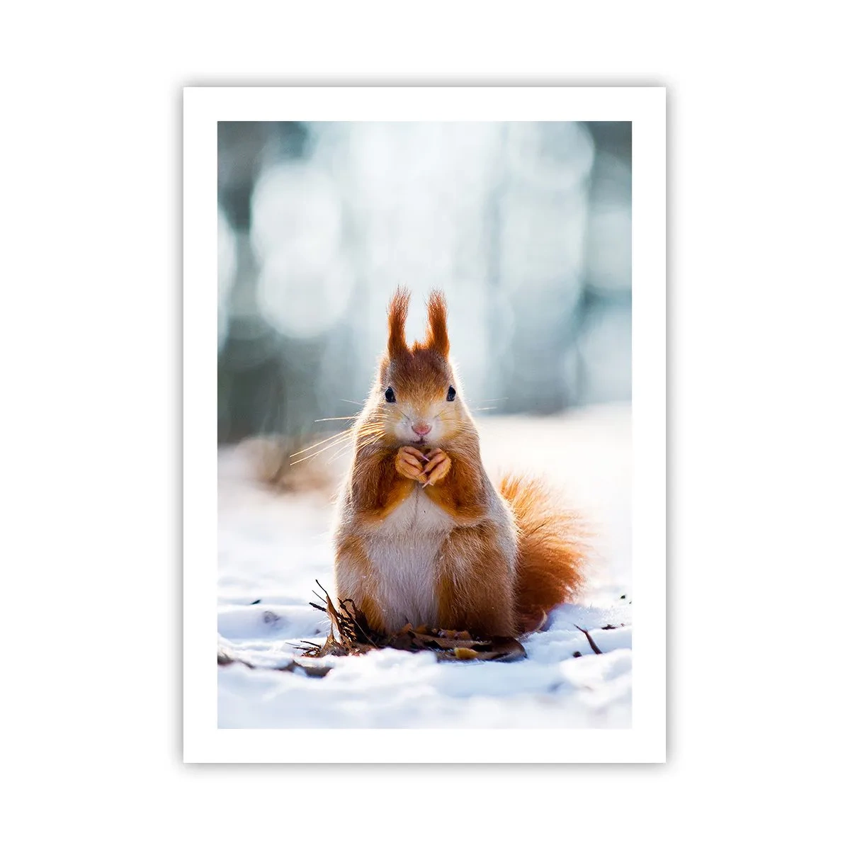 Plakat - Og hvad kigger du på? - 50x70 cm