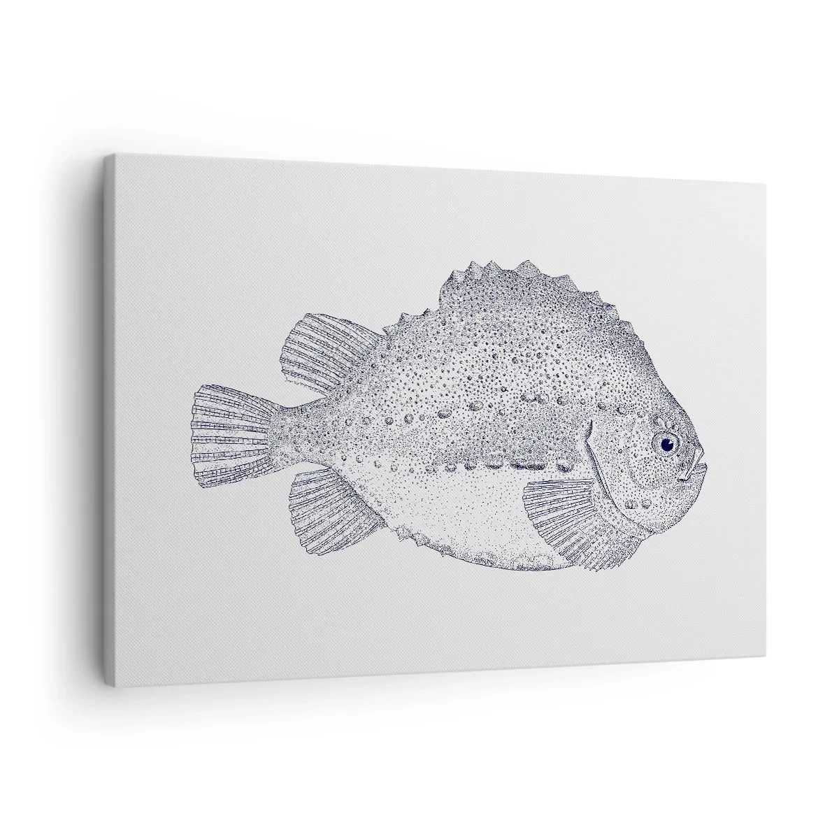 Lærredstryk - Billede på lærred - Sort-hvid tegning af en fisk på en hvid baggrund i minimalistisk stil - 70x50cm - Til naturforskerens album - Moderne vægdekoration til stue og soveværelse ARTTOR