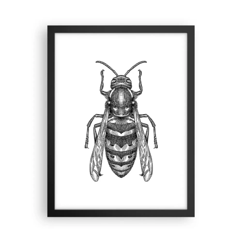 Plakat i sort ramme - Fra en insektplanet - 30x40 cm
