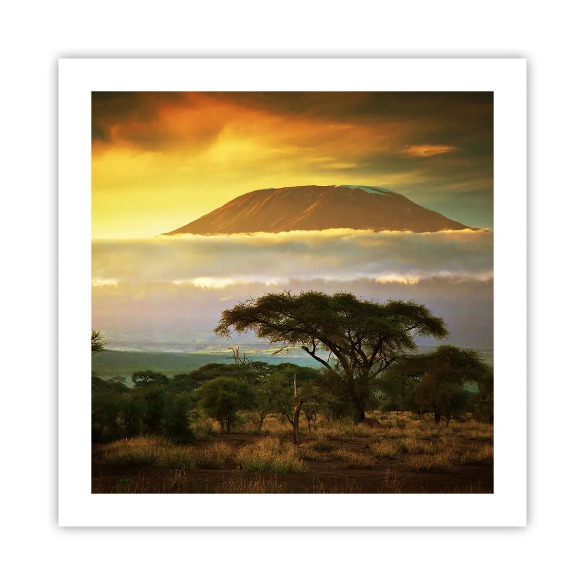 Plakat - En rejsendes drøm - 50x50 cm