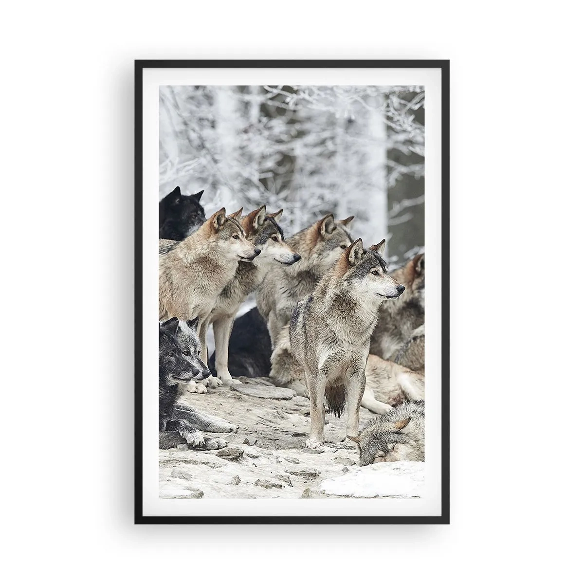 Plakat i sort ramme - Familie og venner - 61x91 cm