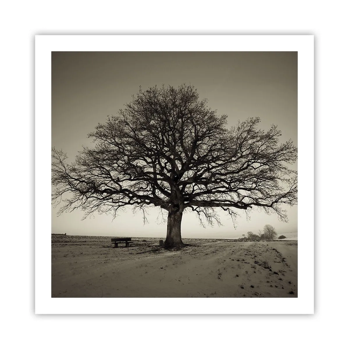 Plakat - Herfra og til evigheden - 60x60 cm