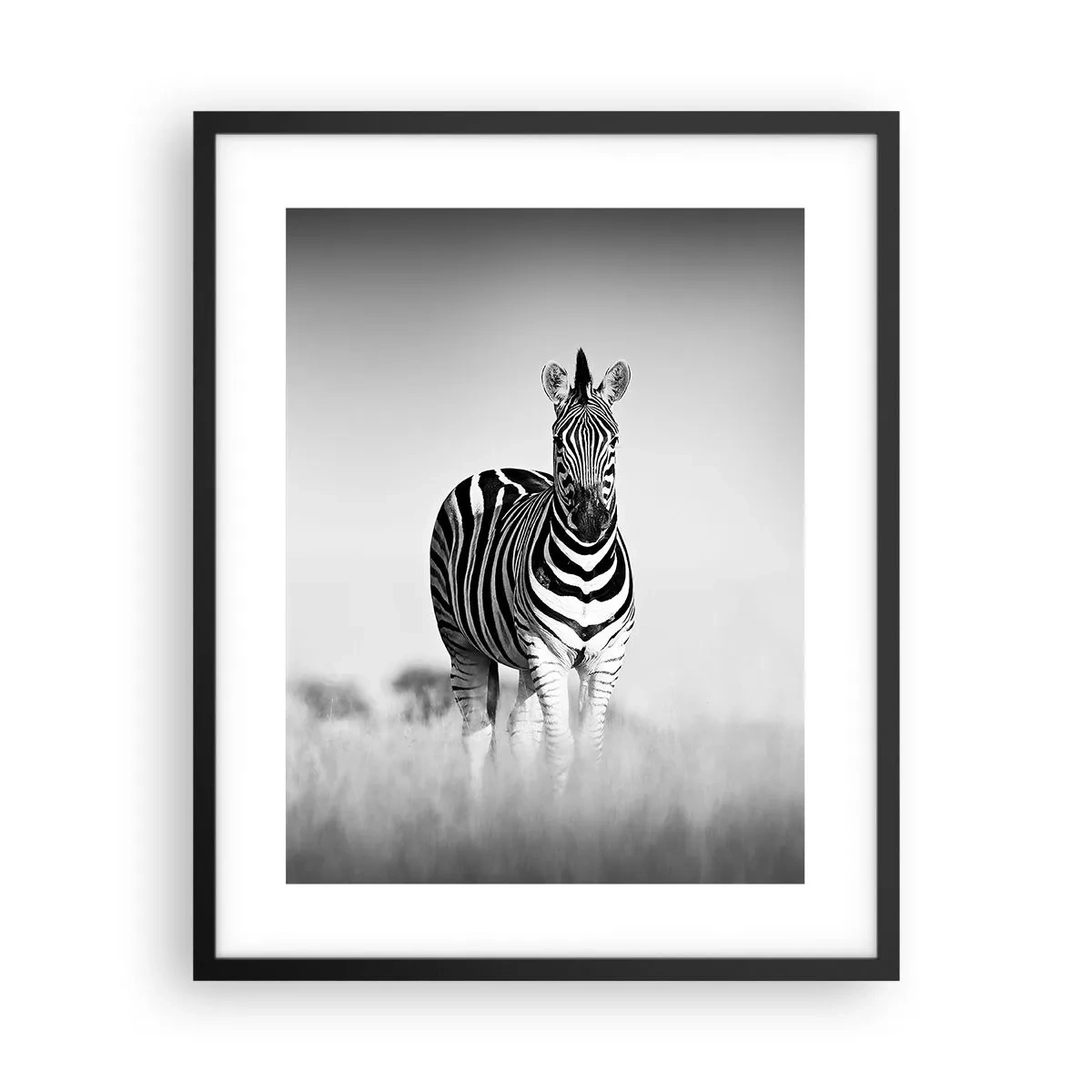 Plakat i sort ramme - Og alligevel er verden sort og hvid - 40x50 cm