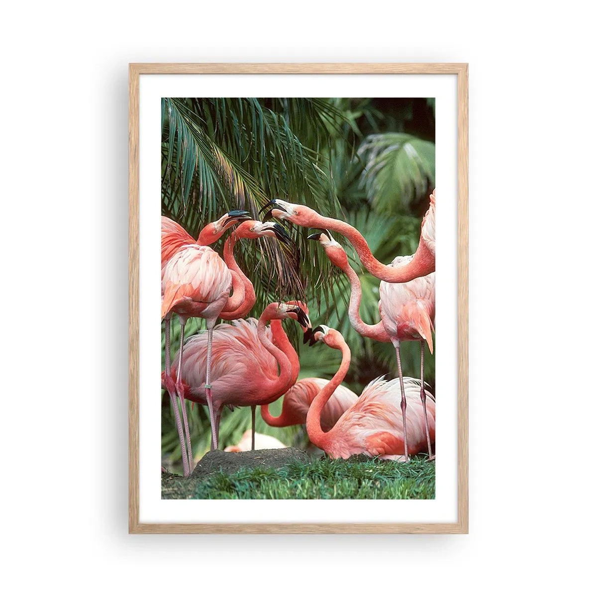 Plakat i ramme af lyst egetræ - Sladder om eftermiddagen - 50x70 cm