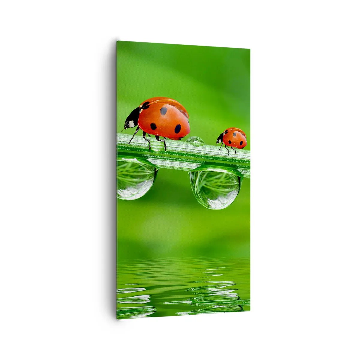 Lærredstryk - Billede på lærred - På farten hele sommeren - 65x120 cm