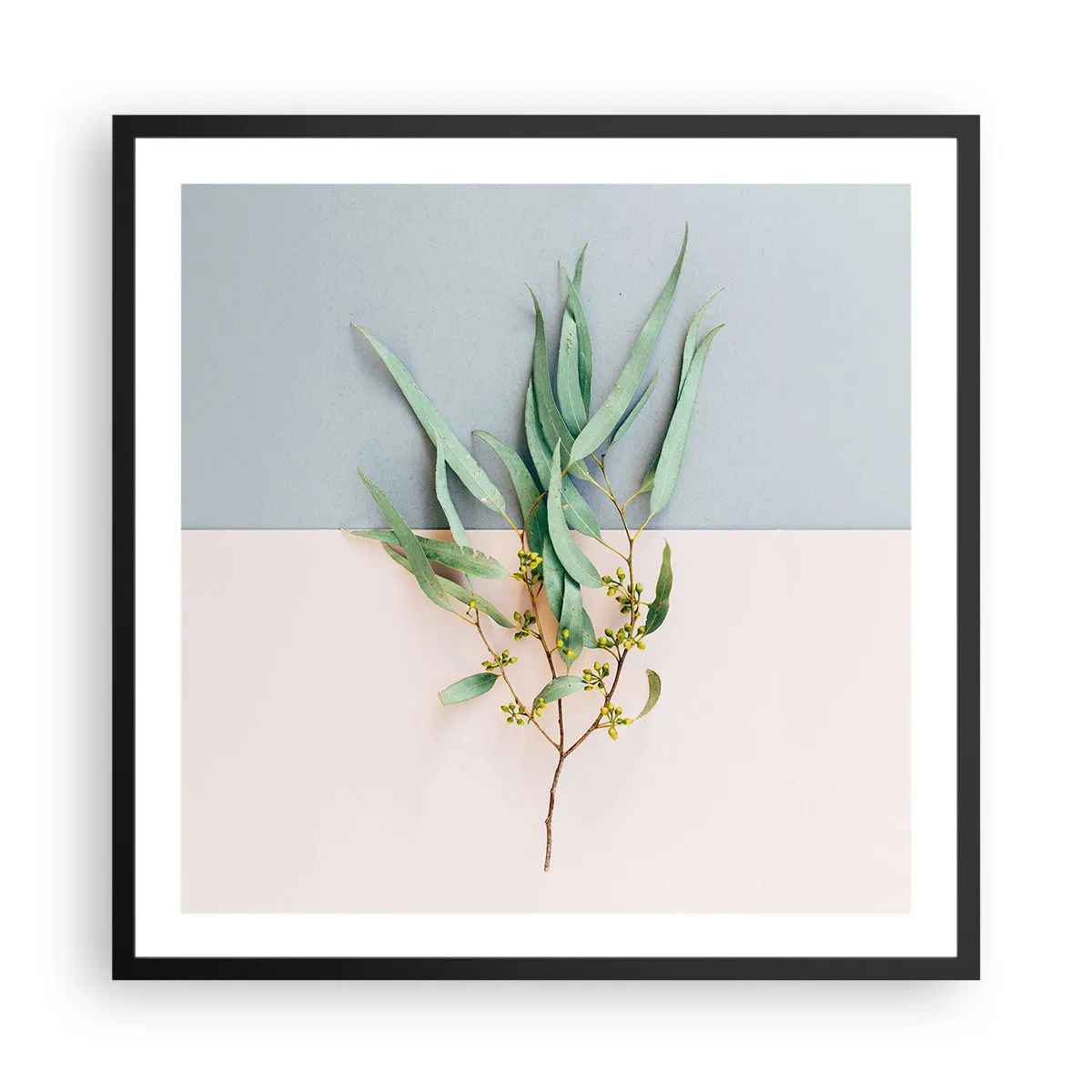 Plakat i sort ramme - Pastelfarvernes subtilitet - 60x60 cm