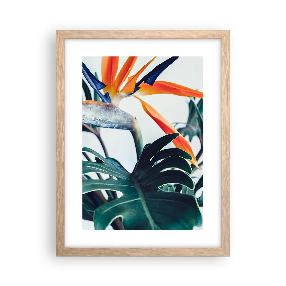 Plakat i ramme af lyst egetræ - Fuglebur - 30x40 cm
