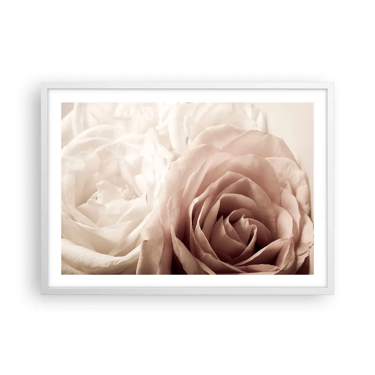Plakat i hvid ramme - I rosens hjerte - 70x50 cm