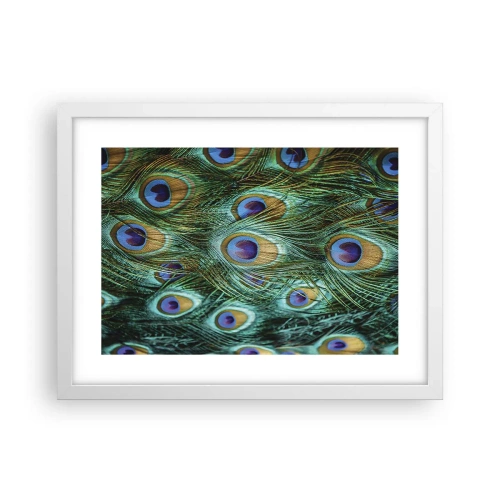 Plakat i hvid ramme - En påfugls blik - 40x30 cm