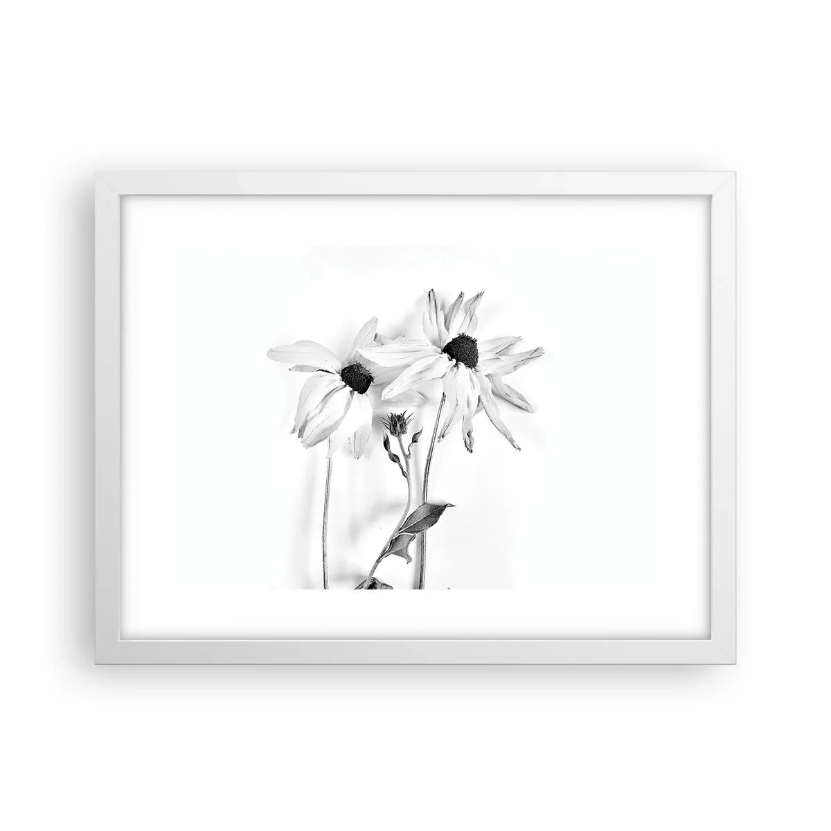 Plakat i hvid ramme - Ingen ønsker at være alene - 40x30 cm