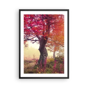 Plakat i sort ramme - Et træ med røde blade i et efterårslandskab - 50x70cm - Et væld af blomstring - Moderne vægdekoration til stue og soveværelse ARTTOR