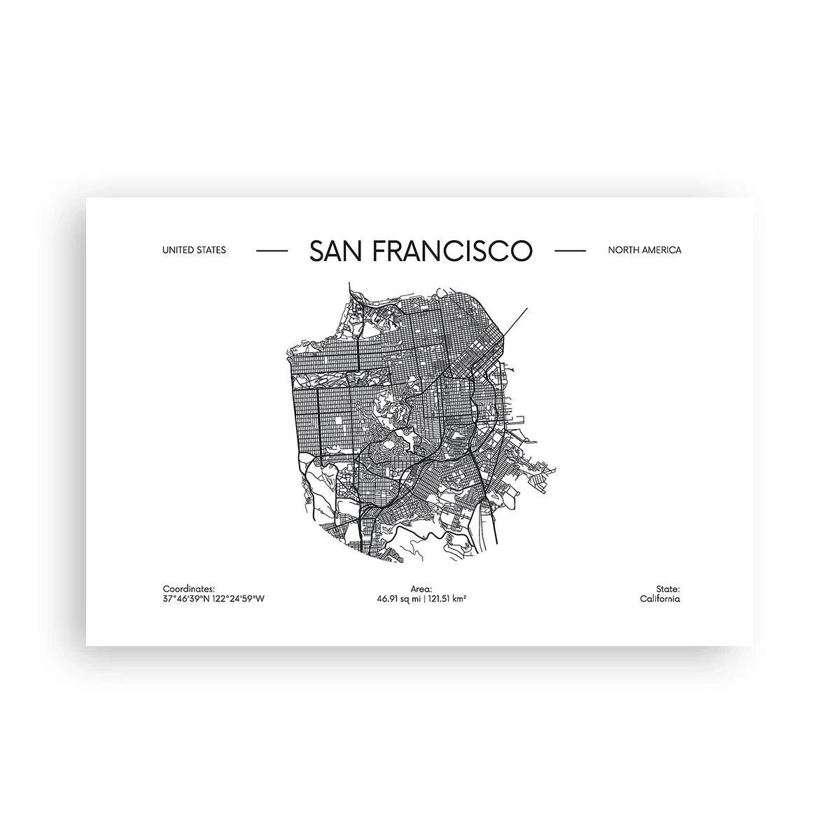 Plakat - San Franciscos anatomi - 91x61 cm
