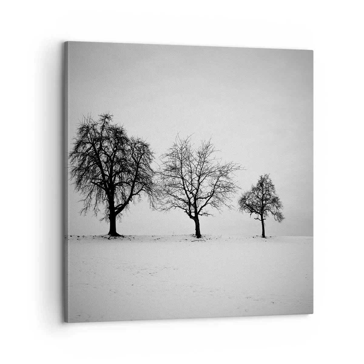 Lærredstryk - Billede på lærred - Hvad drømmer de om? - 60x60 cm