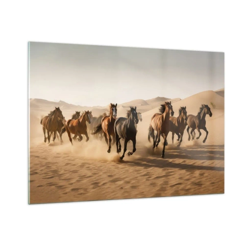 Billede på glas - Fri som vinden - 100x70 cm