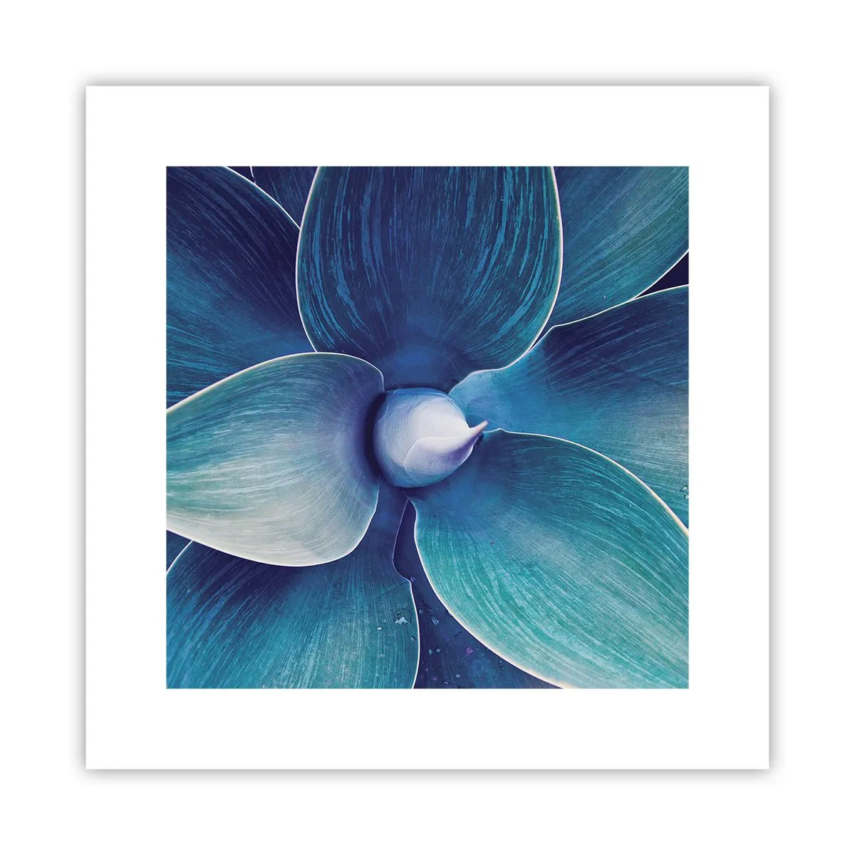 Plakat - Blå fra himlen - 30x30 cm