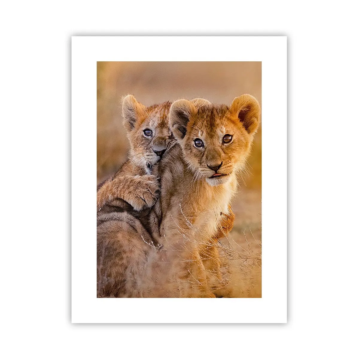 Plakat - Forstyr ikke! Vi har det sjovt - 30x40 cm