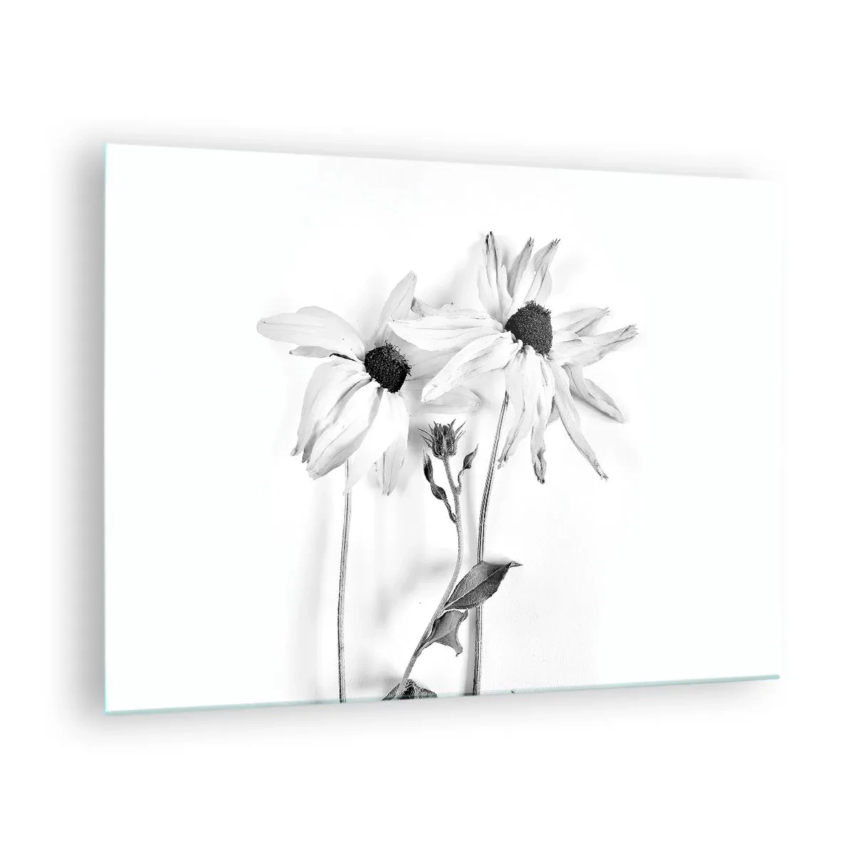 Billede på glas - Sort-hvide blomster i minimalistisk stil - 70x50cm - Ingen ønsker at være alene - Moderne vægdekoration til stue og soveværelse ARTTOR