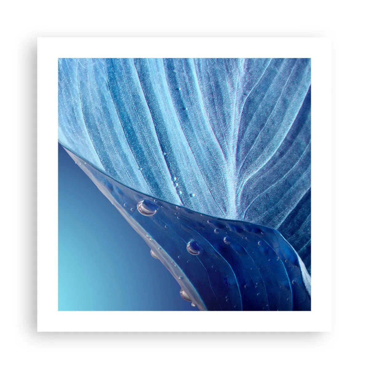 Plakat - Skjulte dråber af blåt - 50x50 cm