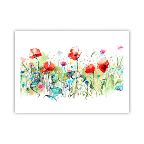 Plakat - En blomstrende eng i maj - 70x50 cm