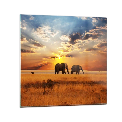 Billede på glas - Familievandring - 70x70 cm