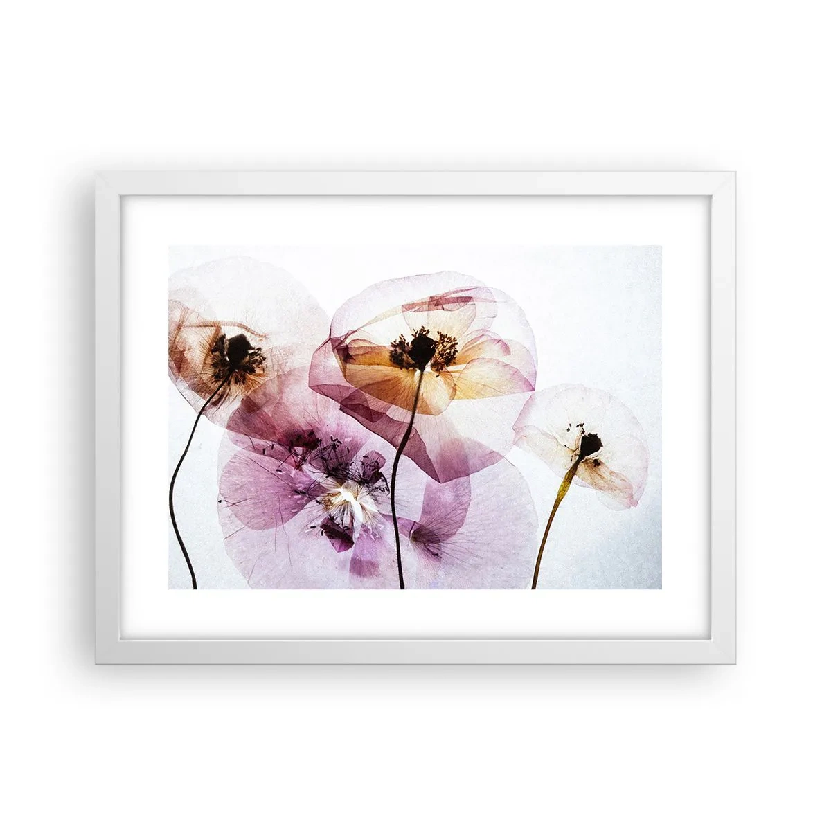 Plakat i hvid ramme - Blomsterlegeme dias - 40x30 cm
