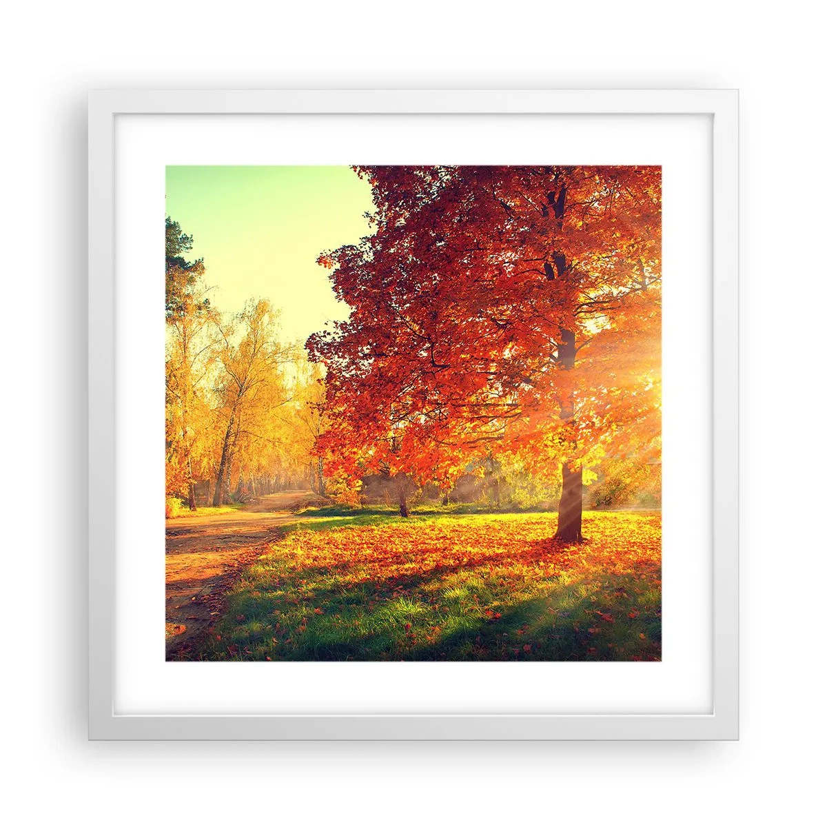 Plakat i hvid ramme - Rød er smuk - 40x40 cm