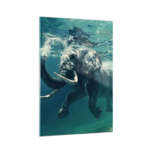 Billede på glas - Alle kan lide at svømme - 70x100 cm