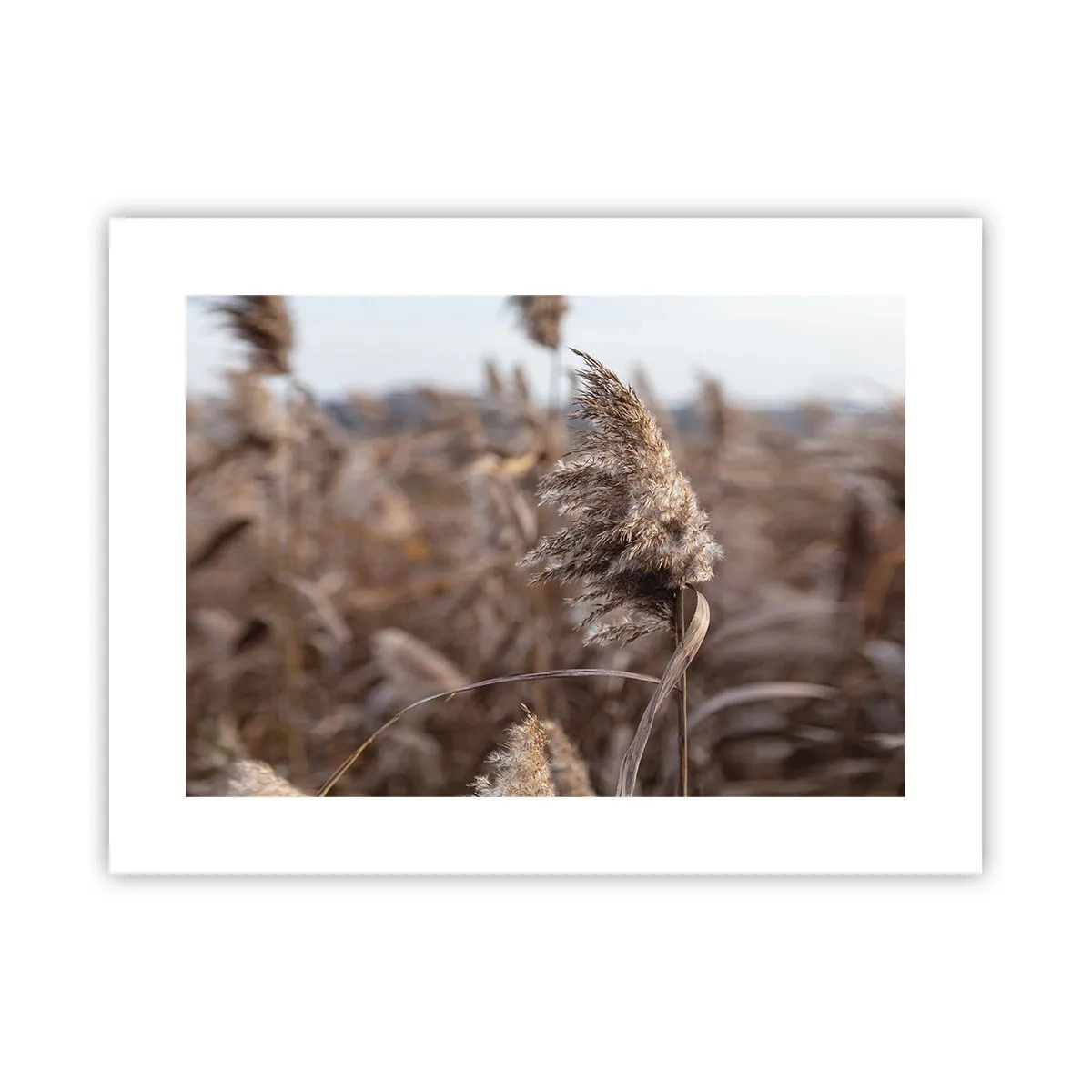 Plakat - Tid til at flyve væk med vinden - 40x30 cm