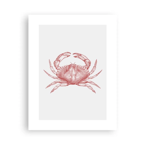 Plakat - Krabbe over krabber - 30x40 cm
