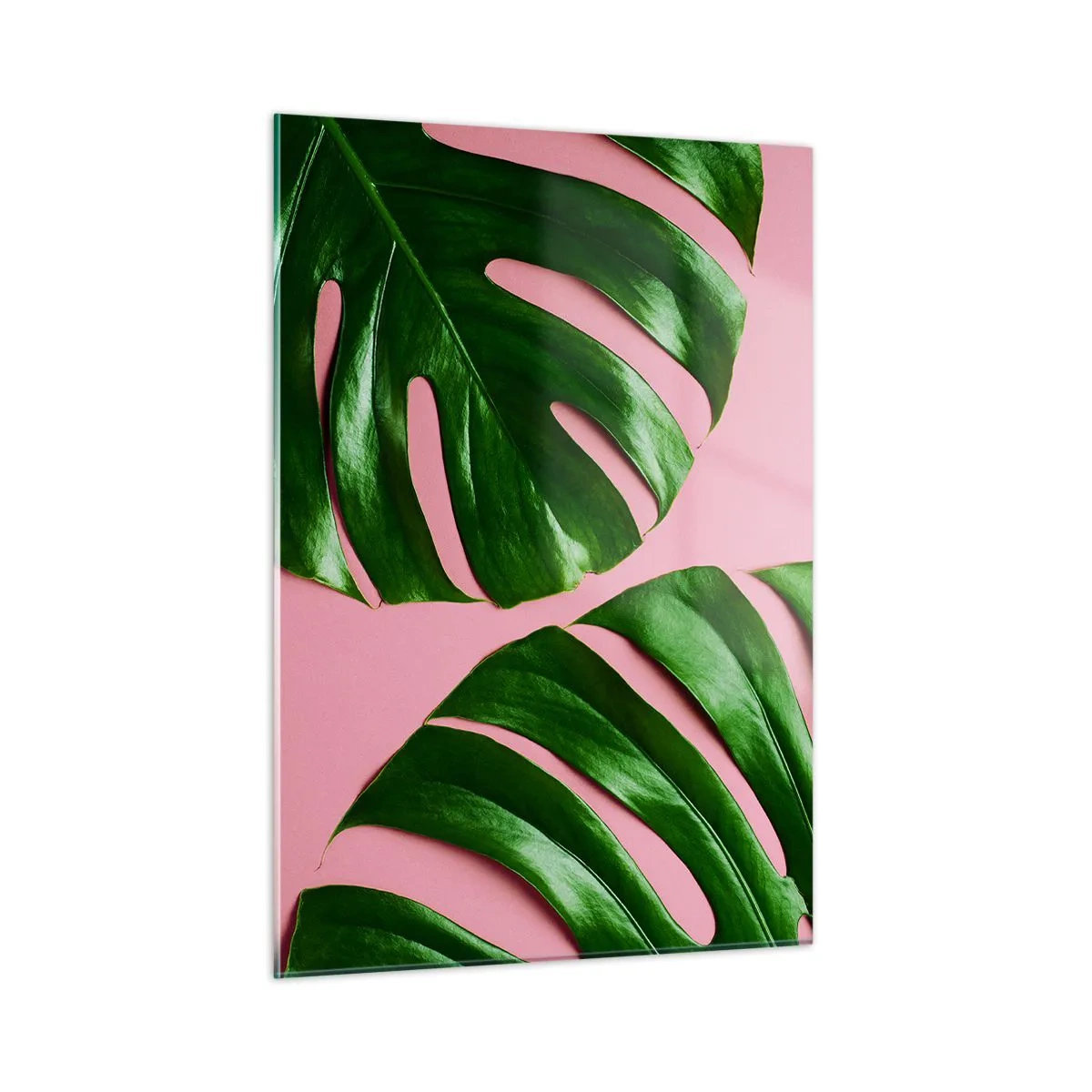 Billede på glas - Grønt rendez-vous - 50x70 cm