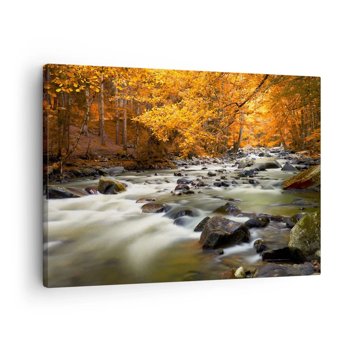 Lærredstryk - Billede på lærred - En bæk i en efterårsskov omgivet af gyldne blade - 70x50cm - Et vandløb i den gyldne skov - Moderne vægdekoration til stue og soveværelse ARTTOR