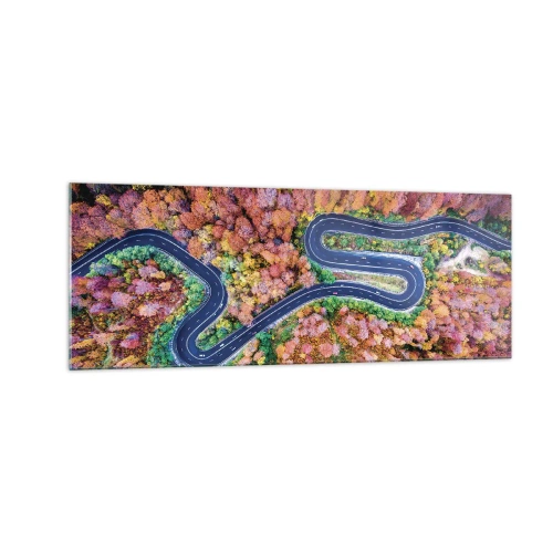 Billede på glas - En snoet vej gennem skoven - 140x50 cm