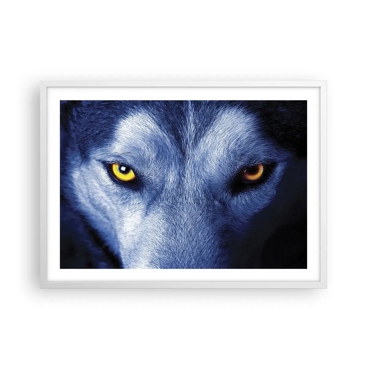 Plakat i hvid ramme - Et hypnotiserende udseende - 70x50 cm