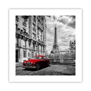 Plakat - Rovdyr i byen - 40x40 cm