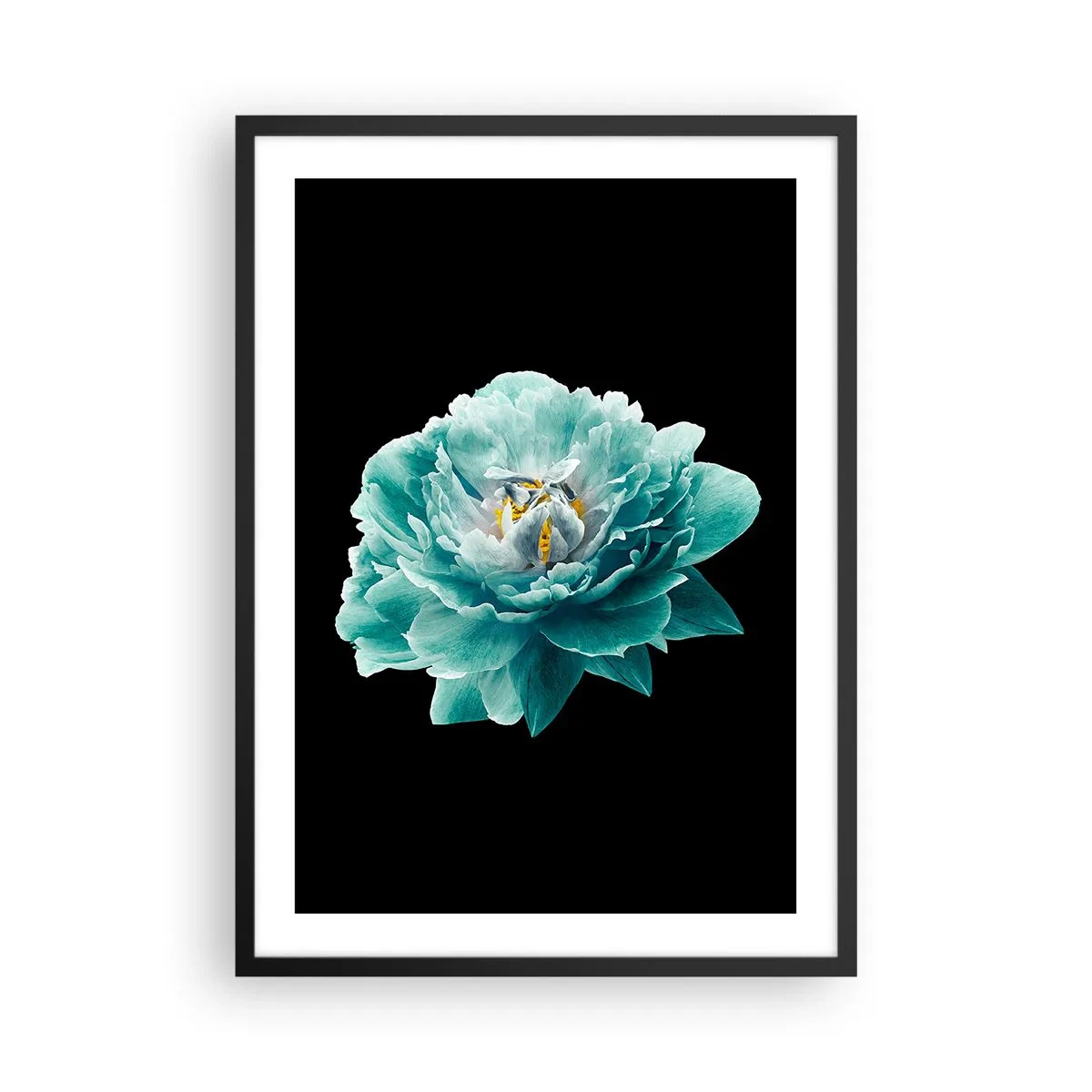 Plakat i sort ramme - Turkis blomst med en bi på sort baggrund - 50x70cm - Blå og gyldne kronblade - Moderne vægdekoration til stue og soveværelse ARTTOR