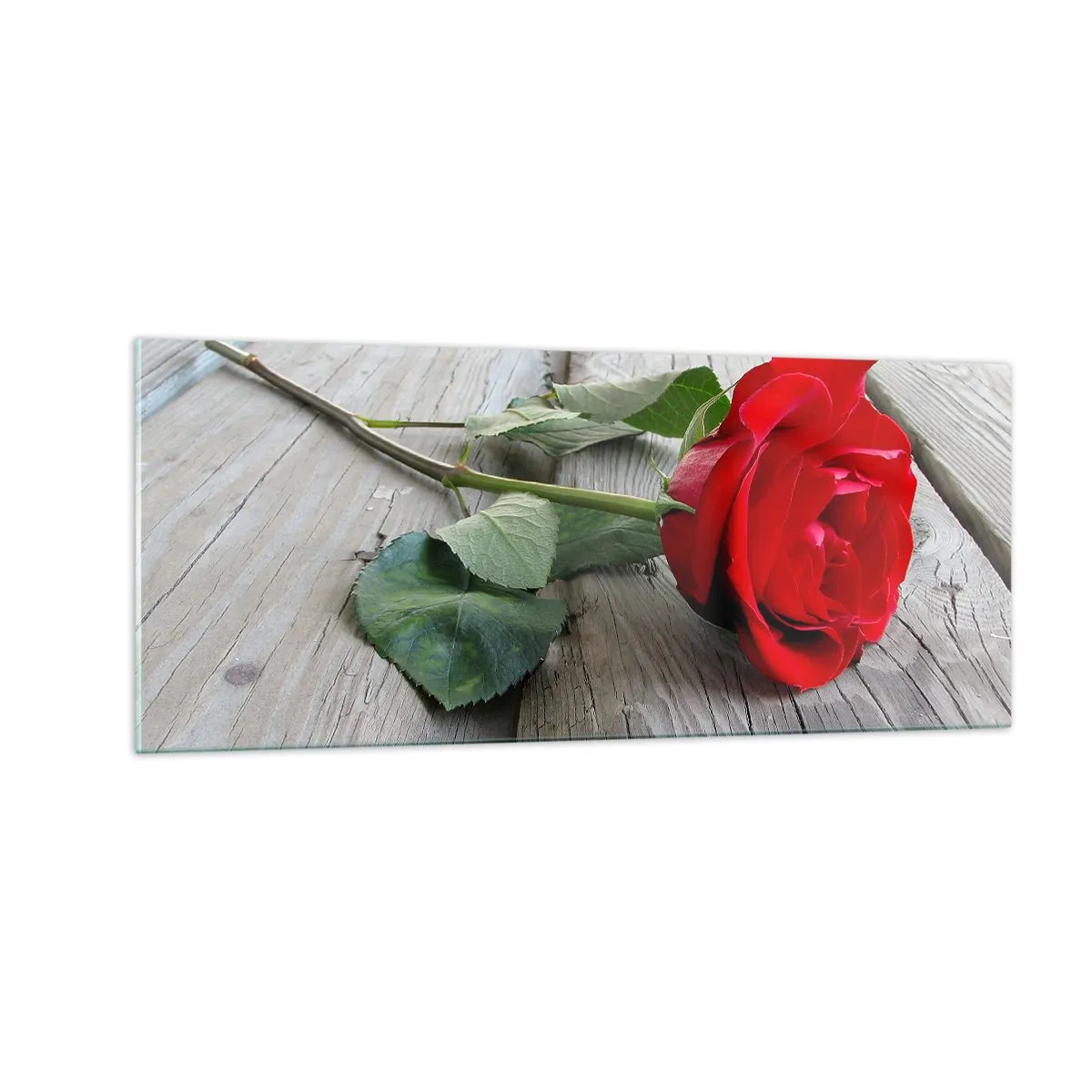 Billede på glas - Studie i skarlagenrødt - 100x40 cm