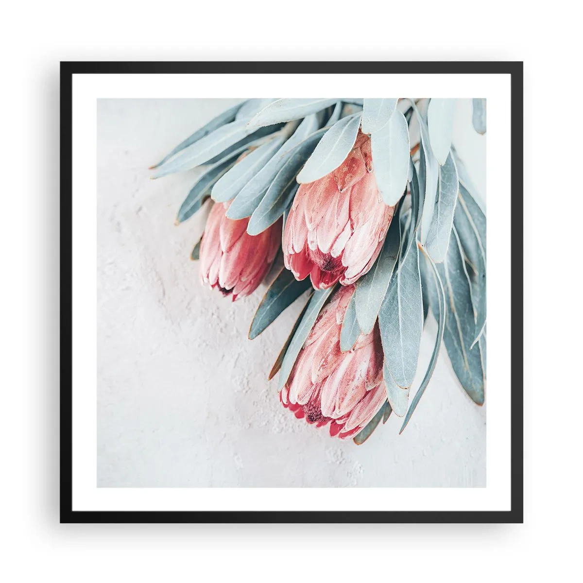 Plakat i sort ramme - Skammer sig over deres egen skønhed - 60x60 cm