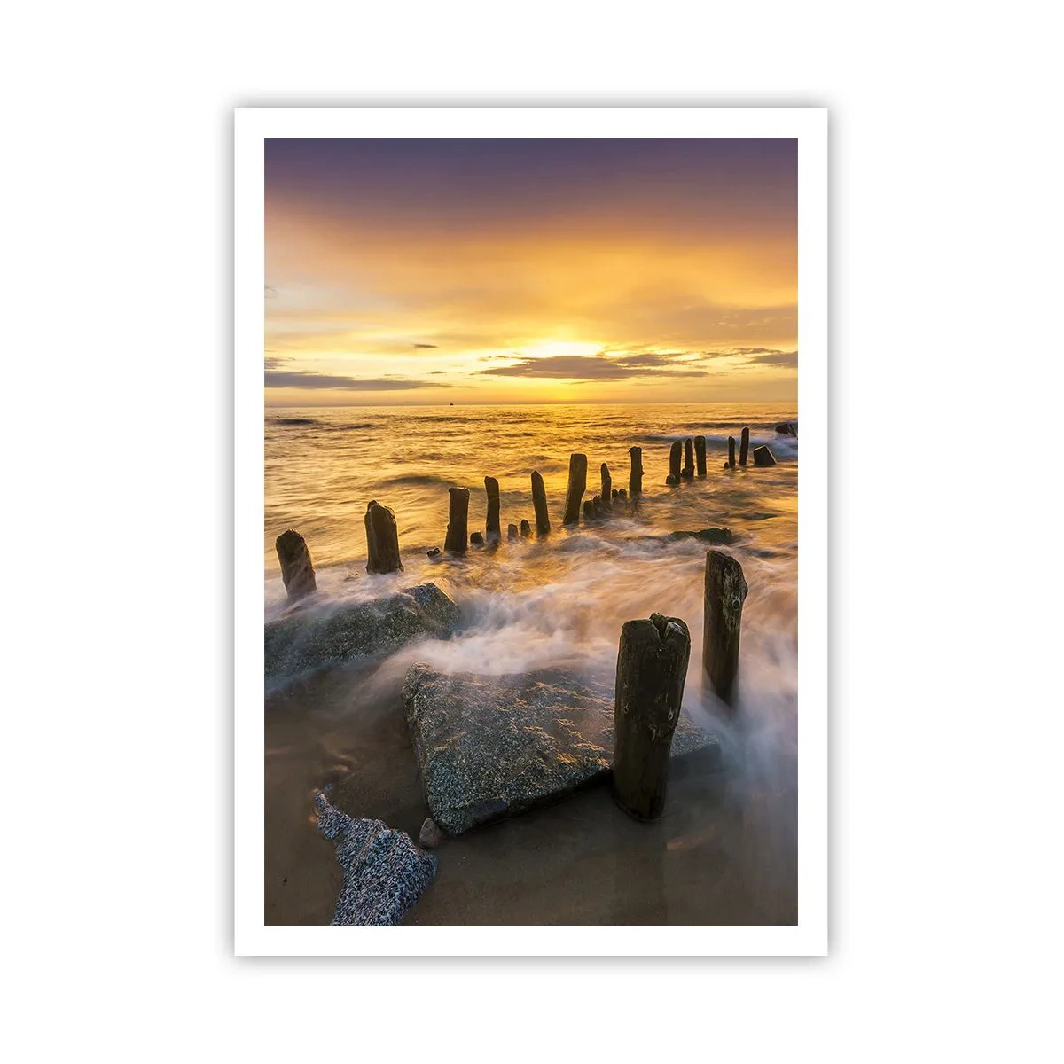 Plakat - Østersøens rå skønhed - 70x100 cm