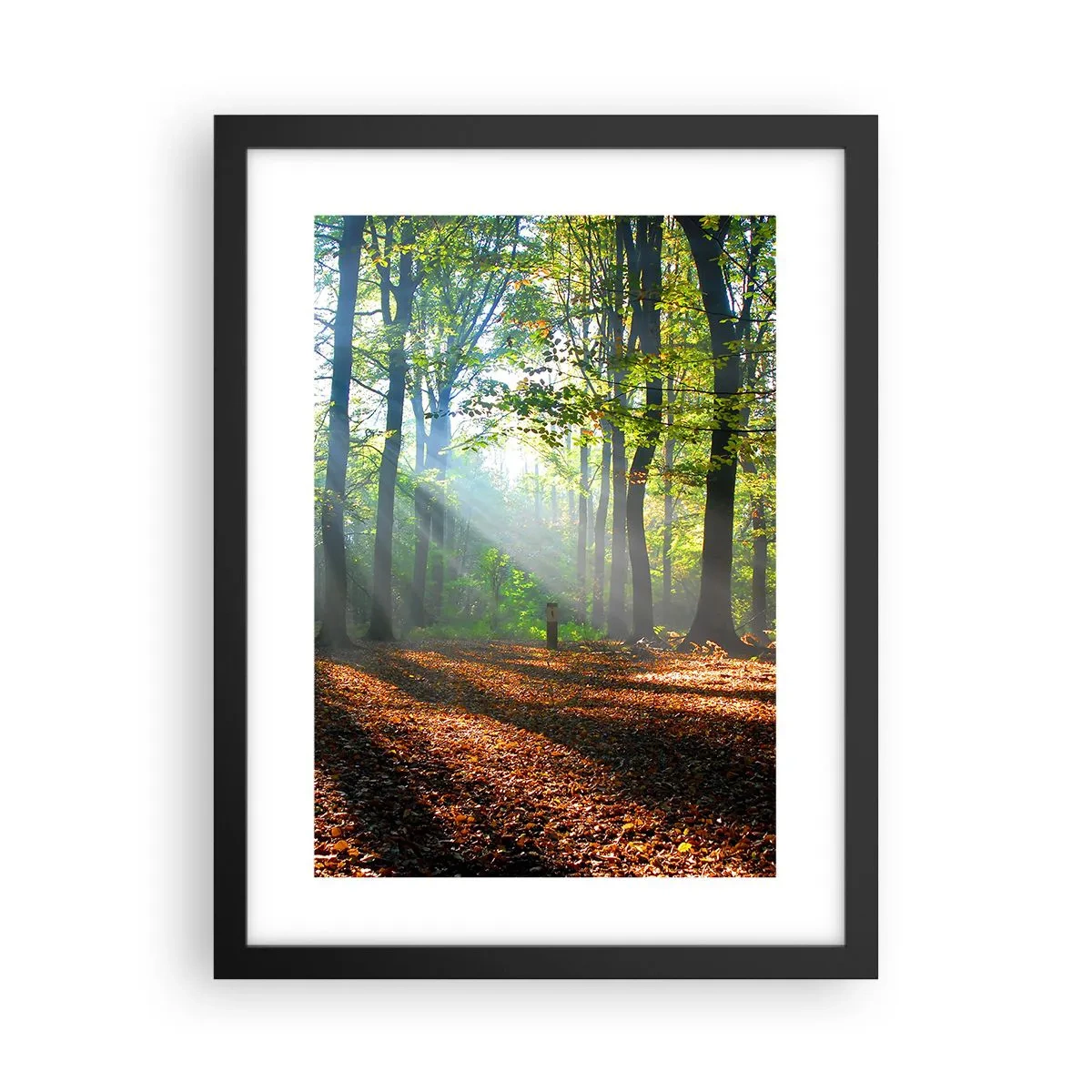 Plakat i sort ramme - Lys og skygger - 30x40 cm