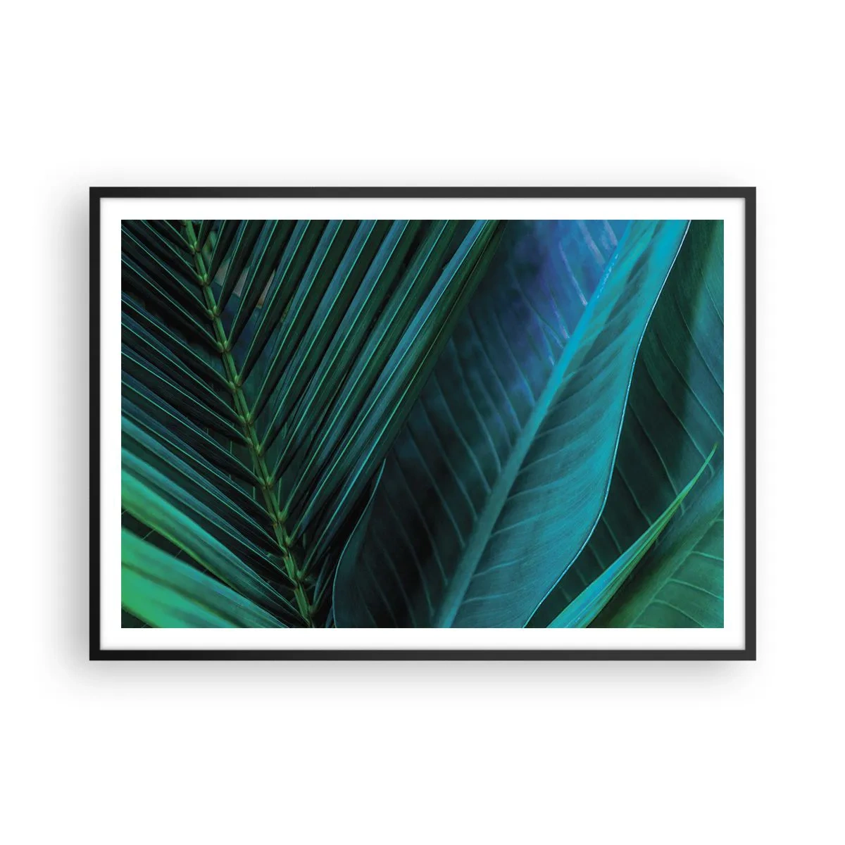 Plakat i sort ramme - Anatomi af en grøn - 100x70 cm