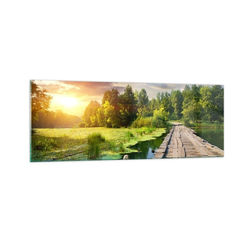 Billede på glas - Sommer, sommer overalt - 140x50 cm