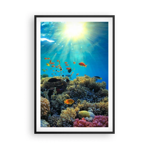 Plakat i sort ramme - Undervandsskatte - 61x91 cm